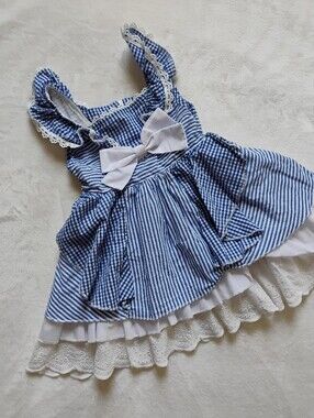 Super Cute Blue & White Gingham Print Toddler Dress | Dorothy Costume